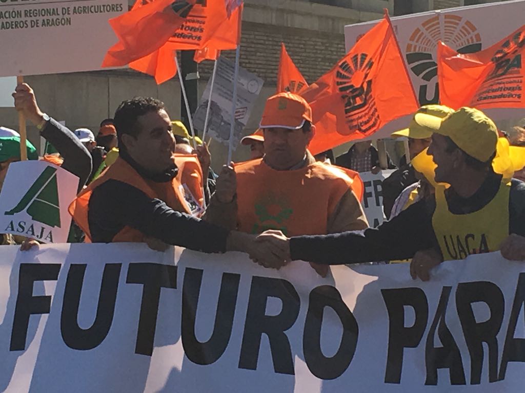 WhatsApp Image 2017-03-10 at 11.21.03