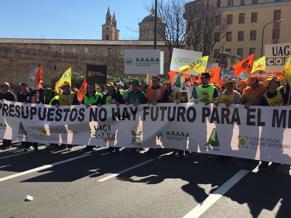 WhatsApp Image 2017-03-10 at 11.29.09