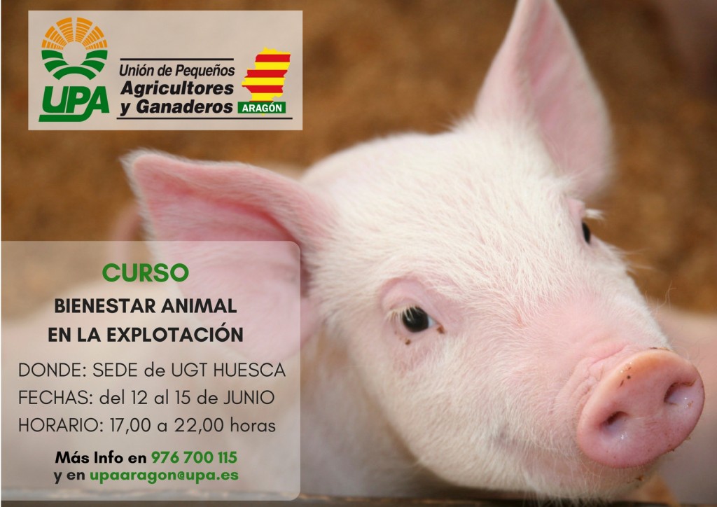 A3 BIENESTAR ANIMAL HUESCA JUNIO 2017